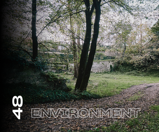 Environment
